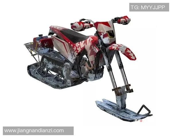 和平精英战术解析BLG防反策略的深度剖析与应用探讨