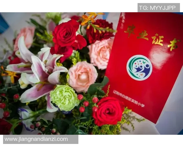 与杨娜畅谈英雄联盟职业生涯的点滴与成长之路